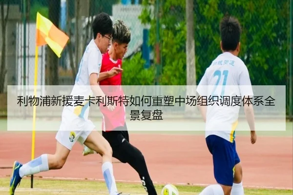 利物浦新援麦卡利斯特如何重塑中场组织调度体系全景复盘