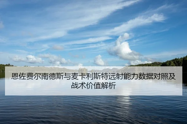 恩佐费尔南德斯与麦卡利斯特远射能力数据对照及战术价值解析（c7c7·app）